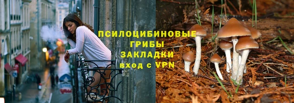 соль ск Алзамай