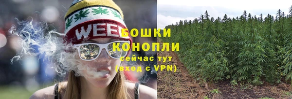 ECSTASY Ладушкин