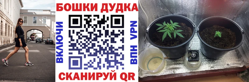Каннабис план  Старый Оскол 